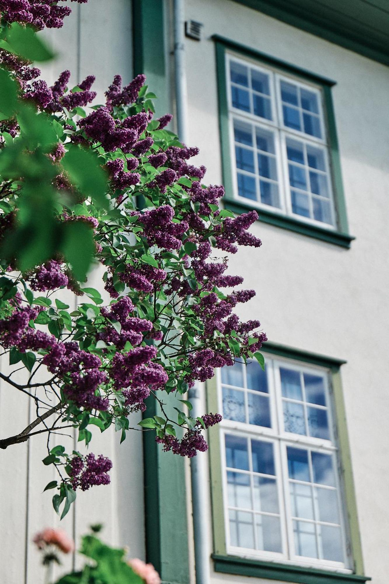 Herregarden Hoel - De Historiske Hotel Nesbyen Exterior photo